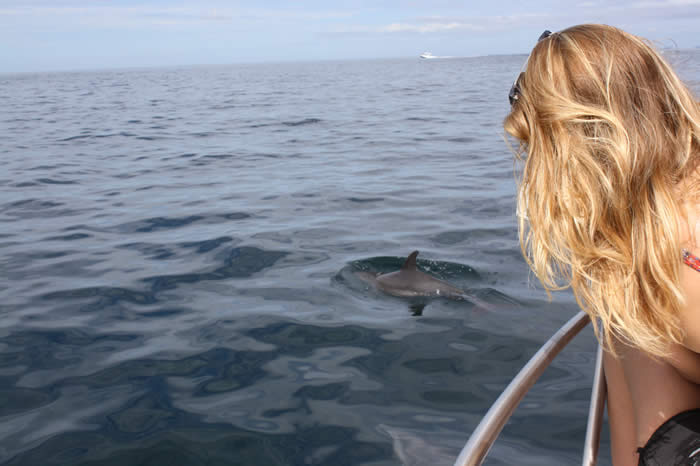 costarica, whalewatching, watersports