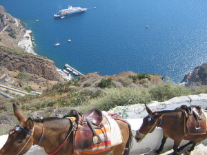 donkey riding on Santorini